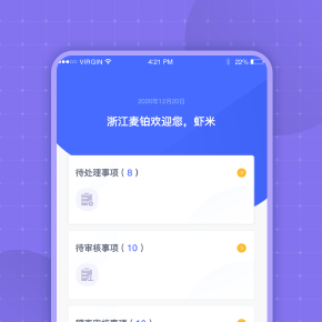 麥鉑工(gōng)貿系統